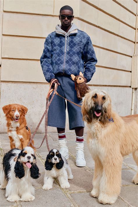 louis vuitton dog lvers collection.